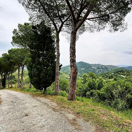 Campo Al Pero App. Nr. 4 *